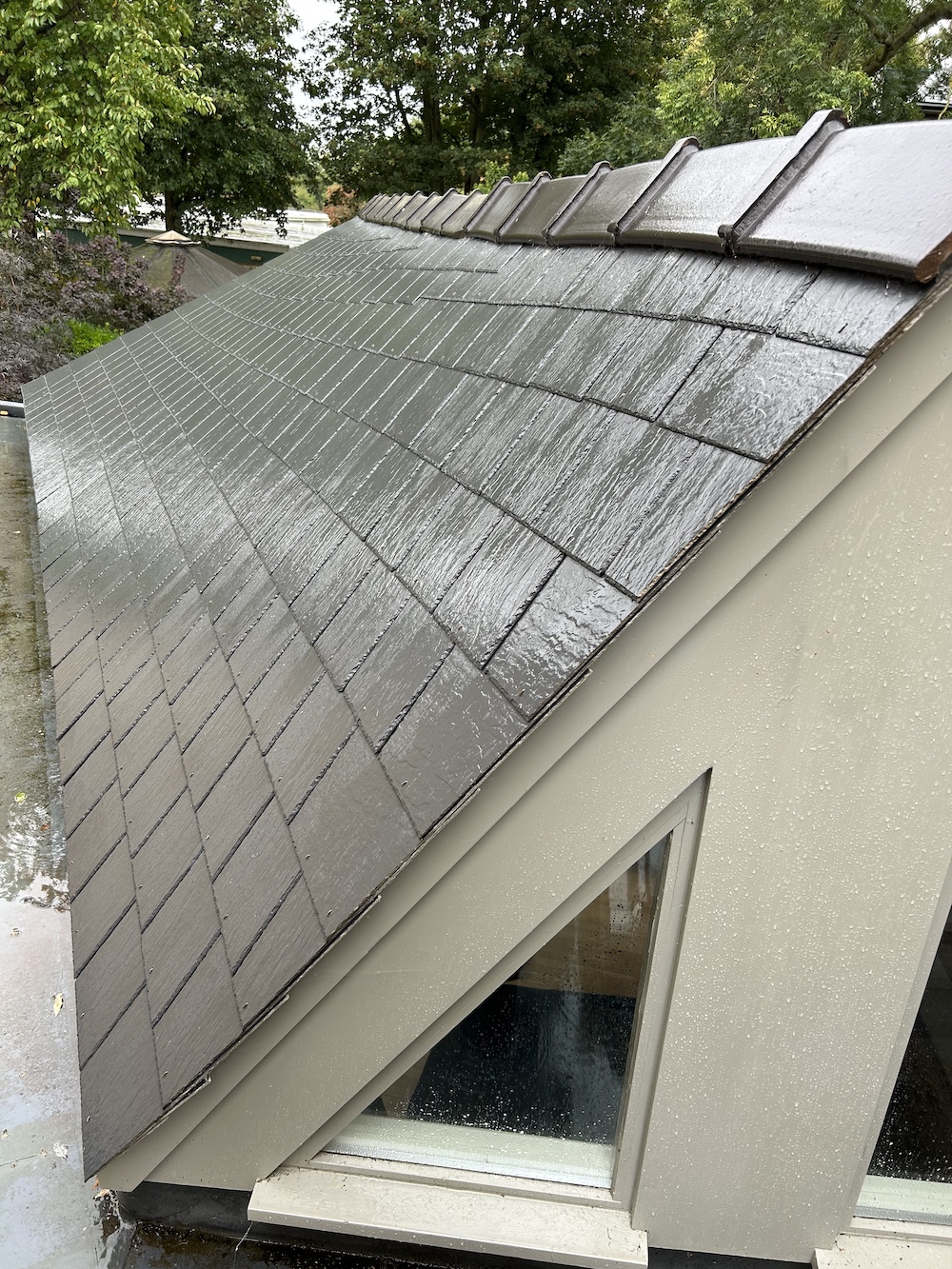 New Twisted Roof
